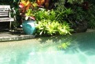Glencoe QLDswimming-pool-landscaping-3.jpg; ?>